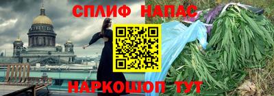 гашик Ливны