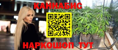 гашик Ливны
