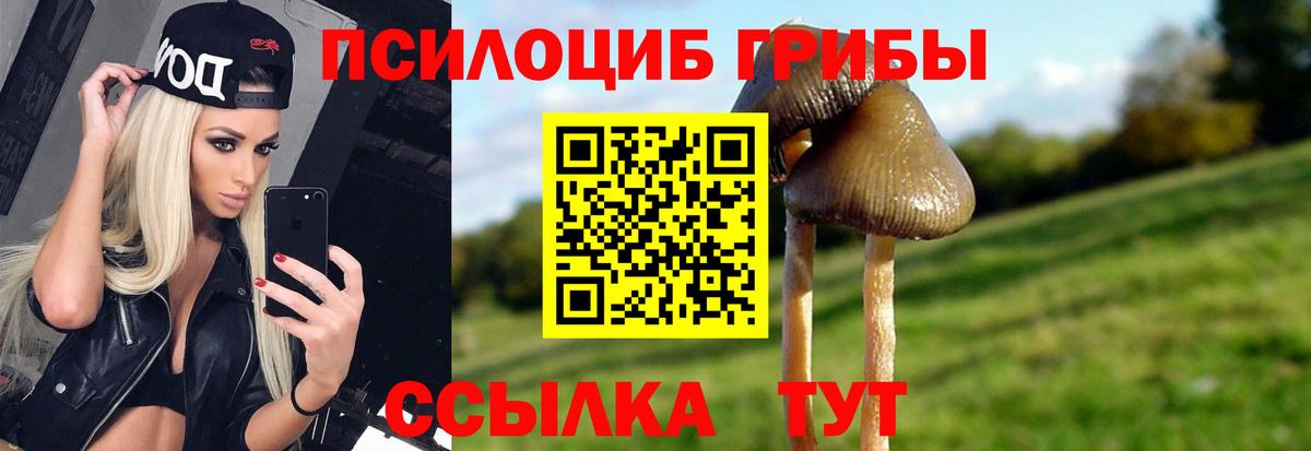 Галлюциногенные грибы Cubensis Домодедово